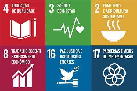 Selos 'Educação de Qualidade', 'Saúde e Bem-estar', 'Fome zero e Agricultura Sustentável', 'Trabalho Decente e Crescimento Econômico', 'Paz, justiça e Instituições Eficazes e Parcerias' e 'Meios de Implementação'